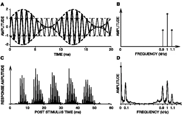 Figure	  I.2.1.2.	  From	  Joris	  et	  al.	  (2004).	  A.	  Superimposed	  waveforms	  of	  an	  unmodulated	  1000	  Hz	  tone	   (thin	   line)	   and	   the	   same	   tone	   sinusoidally	   amplitude	   modulated	   (thick	   line)	   at	   100%	   depth	   with	   a	   frequency	  of	  100	  Hz.	  The	  dashed	  lines	  correspond	  to	  the	  sound	  envelope.	  B.	  Spectrum	  of	  the	  sound	  in	   A.	  C.	  Average	  nerve	  fiber	  response	  (poststimulus	  time	  histogram).	  	  D.	  Spectrum	  of	  the	  response.	  The	   activity	  at	  the	  carrier	  frequency	  and	  at	  sidebands	  indicates	  that	  there	  is	  a	  phase-­‐locking	  to	  the	  fine	   structure	   of	   the	   sound.	   However,	   an	   additional	   component	   at	   the	   modulation	   frequency	   (0.1	   kHz)	   emerges,	  compared	  to	  the	  	  sound	  spectrum.	  