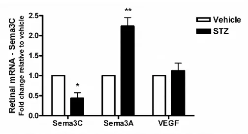Figure  7.  Retinal  Semaphorin  3C  expression  decreases  early  on  in  STZ- STZ-induced  diabetes