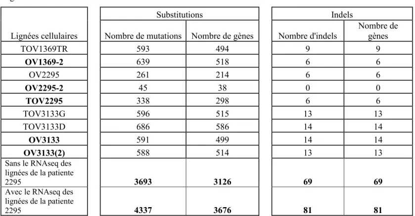 Tableau  VIII :  Nombre  de  mutations  de  type  substitutions  et  insertions/délétions  (indels)  détectées  par  l’algorithme B dans l’ADNc des lignées des patientes 1369, 2295 et 3133 