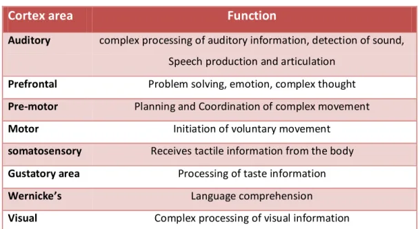 Table 2-1: main cortical areas functions [79] 