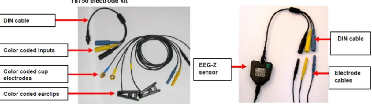 Figure 2-4: EEG electrodes and sensor [104]