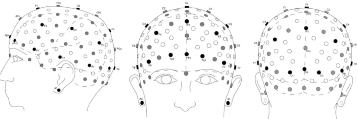 Figure 2-7(b): Selection of 10–10 electrode positions in a realistic display, lateral, frontal and posterior views