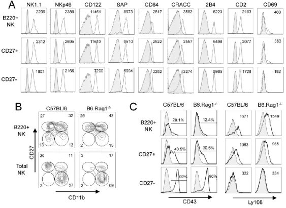 Figure 3. B220 +  NK cells are phenotypically similar but not identical to mNK cells 