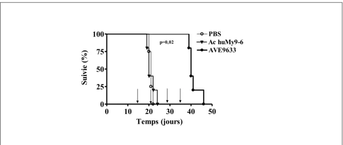 Figure 11 : Efficacité de l’AVE9633 contre des cellules HL60 in vivo 