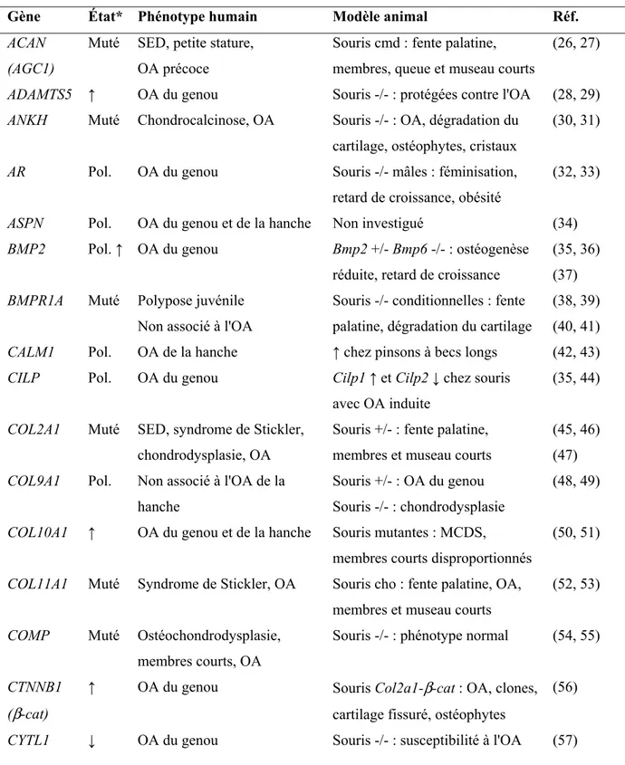 Tableau III. Liste de gènes associés à la susceptibilité à l'arthrose. 