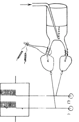 Figure  3:  Reproduction  de  la  célèbre  expérience  d'Otto  Loewi  par  R.  H.  Kahn