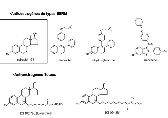 Figure 3. Les antioestrogènes de type SERM et SERD en comparaison avec 17β- 17β-estradiol et genistein