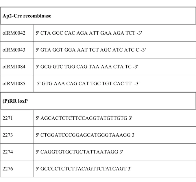 Table 1: Primers for Ap2-Cre recombinase and (P)RR loxP genes  Ap2-Cre recombinase 