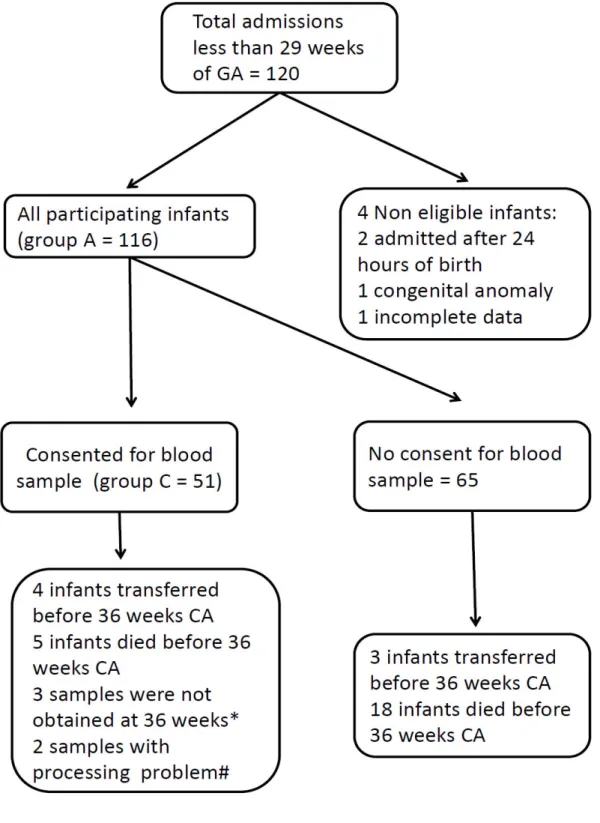 Figure 1. Participant flow.  