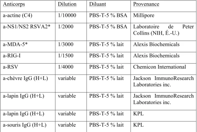 Table  III : Liste des anticorps et de leurs conditions d'utilisation en immunoblot 
