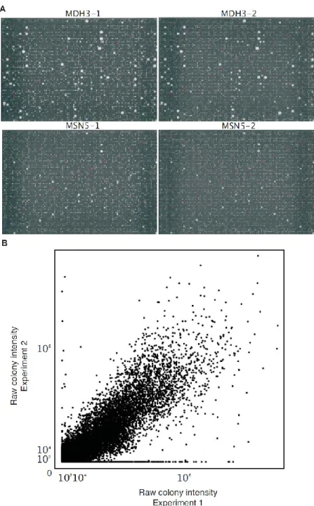 Figure 5 : Reproducibility of the screening process. 