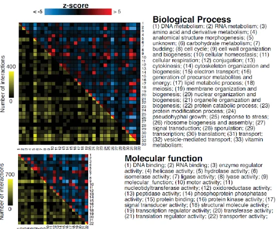 Figure 12: Interactions are enriched within Gene Ontology categories.  