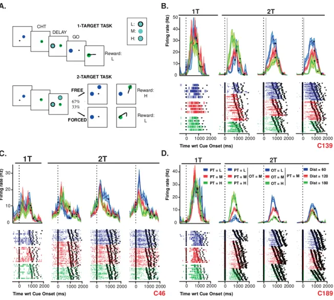 Figure  1.  A.  Behavioral  task.  B-D.  Three  individual  cell  examples.  Each  panel  shows  histograms  and  raster  plots  for  1T  and  2T  trials  in  which  the  cell’s  PT  was  present