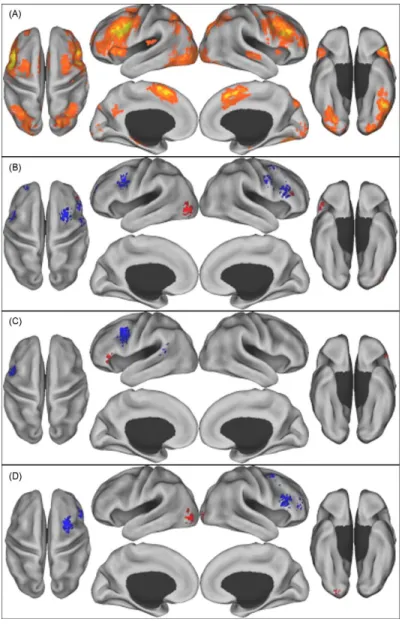 Figure 4. Reliable patterns of brain activity across studies of aging 