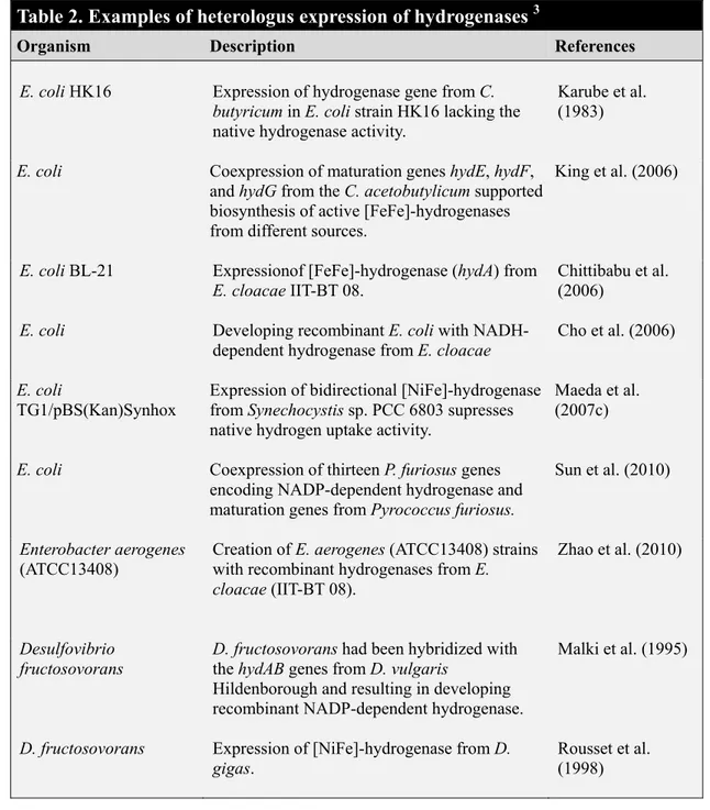 Table 2. Examples of heterologus expression of hydrogenases  3