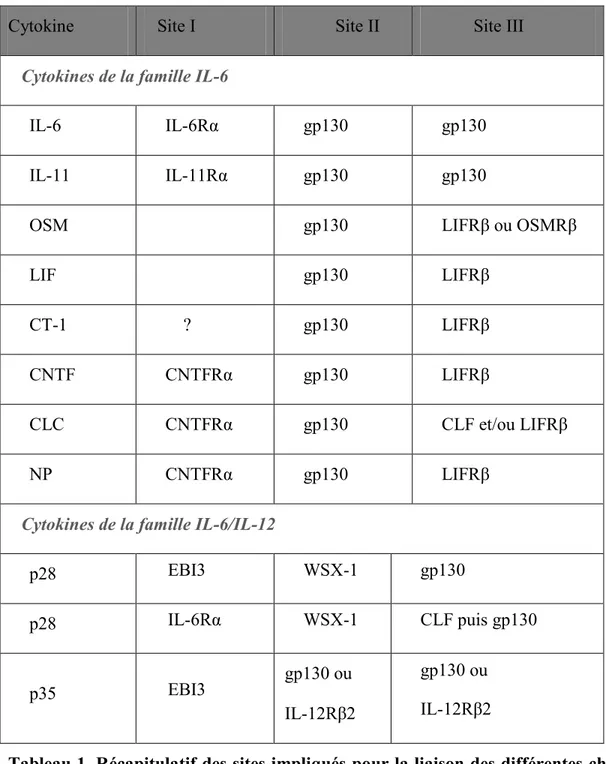 Tableau 1. Récapitulatif des sites impliqués pour la liaison des différentes chaînes  de récepteurs des cytokines de la famille IL-6/IL-12 