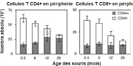 Figure  6.  Nombre  de  Tn  et  Tm  CD4 +   et  CD8 +   en  périphérie  en  fonction  de  l’âge