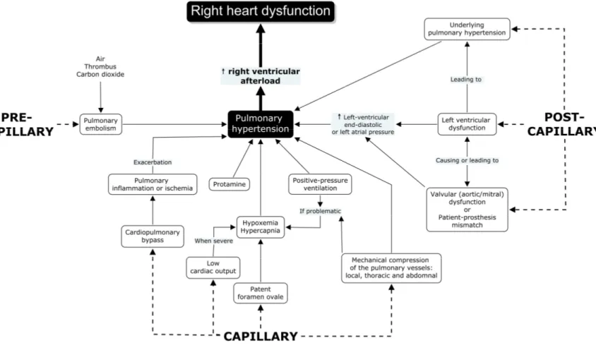 Figure  4  Mécanismes  menant  à  l’hypertension  pulmonaire  en  chirurgie  cardiaque 