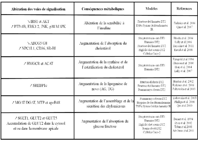 Tableau  I : Tableau  de  synthèse  des  anomalies  métaboliques  reliées  à  la  résistance  à  l’insuline  intestinale 