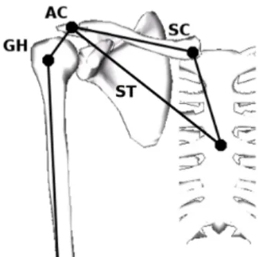Figure 2.5 – Dans un modèle arbo- arbo-rescent, chaque segment ne possède qu’un seul et unique parent.