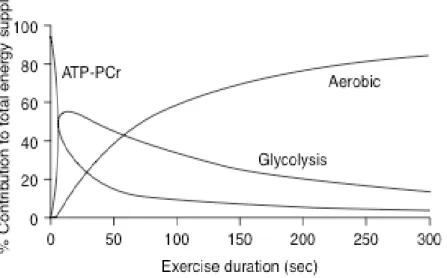 Figure  2    –  Tirée  de  Gastin  (2001).  Évolution  des  voies  métaboliques  en    pourcentage  de  la  contribution totale lors d’un exercice d’intensité maximale