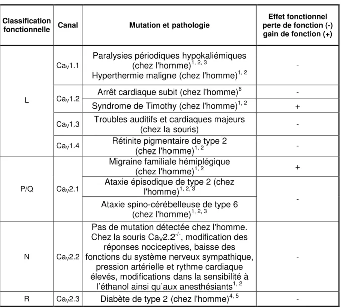 Tableau III : Pathologies associées aux canaux HVA.  Classification 