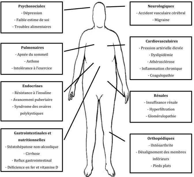 Figure 1 : Complications associées à l’obésité (1, 7, 13). 