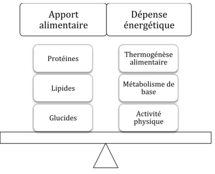 Figure 3 : Balance énergétique neutre.  !