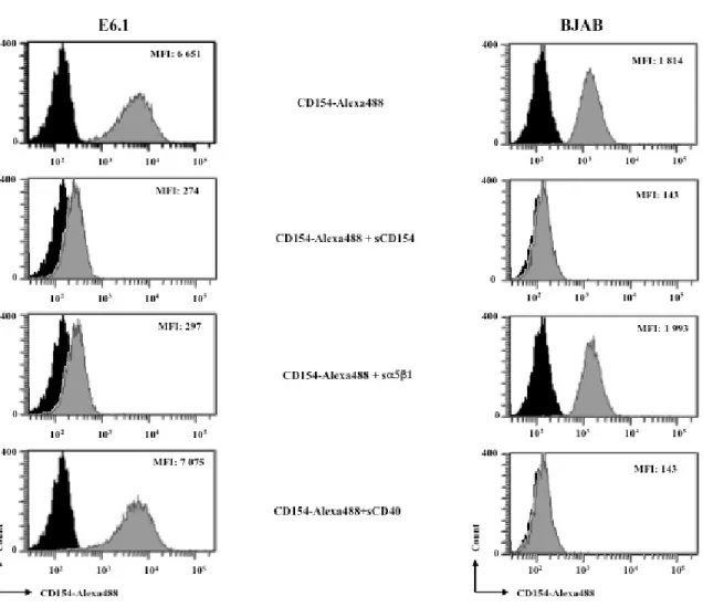 Figure 3. 2 : Le sCD40L lie spécifiquement l’α5β1 à la surface des Jurkat E6.1  