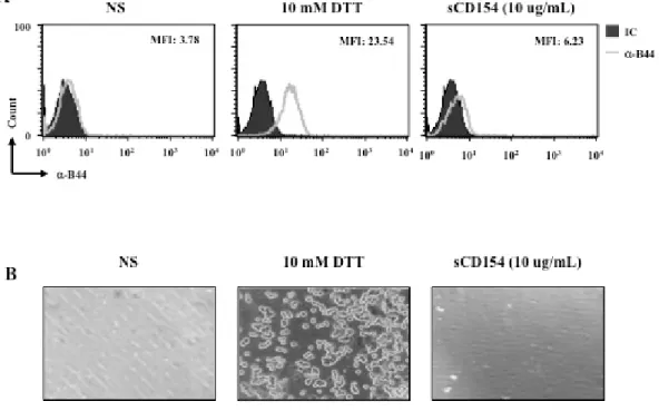 Figure 3. 3 : L’engagement de l’α5β1 par le CD40L n’induit pas son changement structural 
