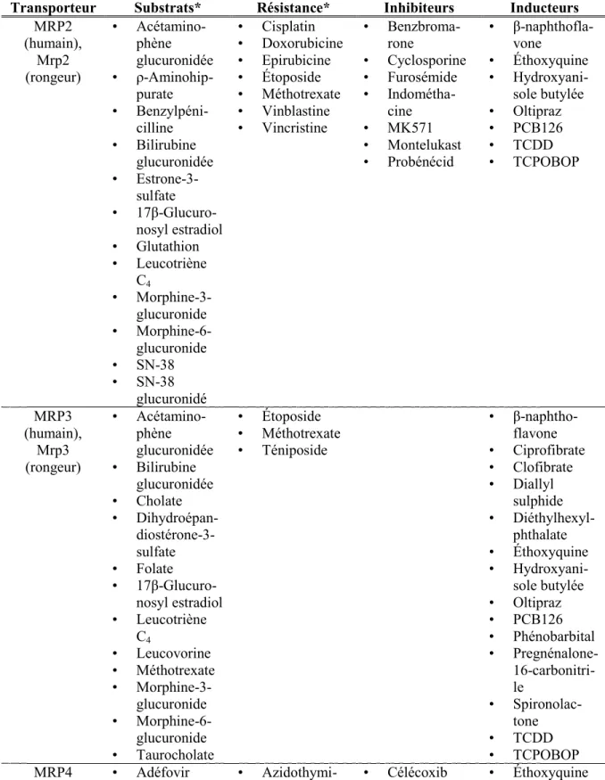 Tableau  IV  Certains  substrats,  inhibiteurs  et  inducteurs  des  MRP  ayant  une  importance  clinique dans la pharmacocinétique des médicaments
