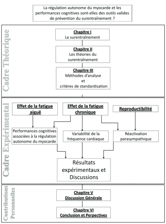Figure 1: Illustration schématique du document de thèse 