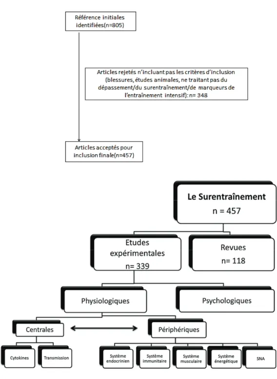 Figure 8 : Diagramme de recherche bibliographique *