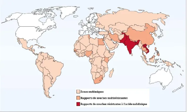 Figure 10 : Distribution global  des souches de S. Typhi résistantes de 1990 à 2002.  Toutes les zones colorées sont des zones endémiques