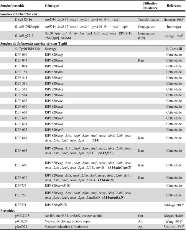 Tableau IV : Description des souches et plasmides utilisés dans cette étude. 