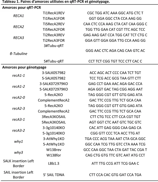 Tableau 1. Paires d'amorces utilisées en qRT-PCR et génotypage.  Amorces pour qRT-PCR 