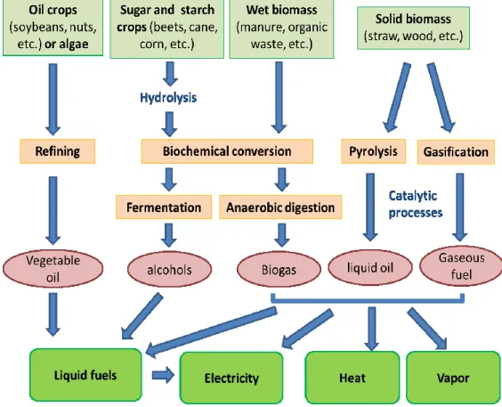 Figure 1.  Bioenergy conversion processes from biomass 16 .