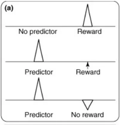 Figure  3.  Modèle  du  reward-prediction  error    tel  que  proposé  par  Schultz.  Le  trait  horizontal  représente  les  variations  du  taux  décharge  d’un  neurone  à  dopamine