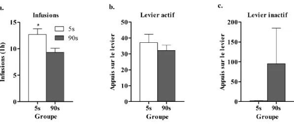 Figure 5: Auto-administration en accès limité (1 h). 
