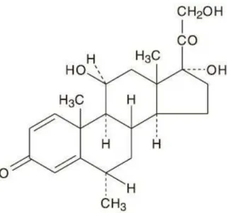 Fig. 18 : Molécule méthylprednisolone 