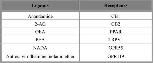 Tableau I: Le système endocannabinoïde: ligands et récepteurs 