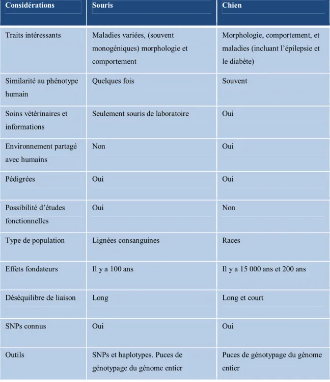 Tableau 1 : Comparaison du chien et de la souris