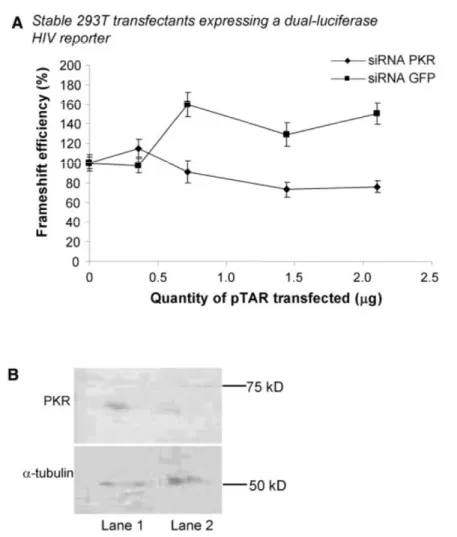Figure 2-5 : The effect of TAR on HIV-1 frameshift efficiency disappears when PKR  expression is silenced