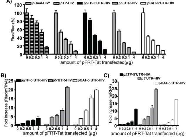 Figure 3-5 : Tat decreases HIV-1 frameshift efficiency in a dose-dependent manner. (A)  The Fluc/Rluc ratio was assessed in lysates from Jurkat T cells co-transfected with  pFRT-Tat and pDual-HIV*, pTP-HIV, pΔTP-5’UTR-HIV, p5’UTR-HIV or pCAT-5’UTR-HIV
