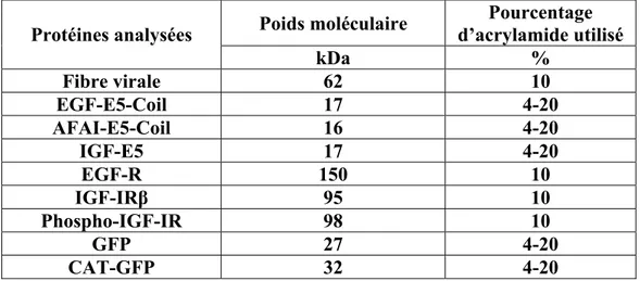 Table 2 : Poids moléculaire des différentes protéines et pourcentage d’acrylamides  utilisés dans les gels de séparation