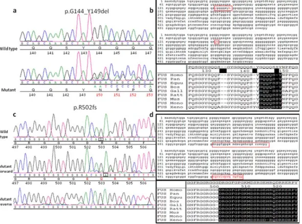 Figure 4 Sequence trace and protein sequence of the G144_Y149del and R502fs mutations  in FUS 