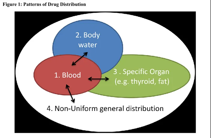 Figure 1: Patterns of Drug Distribution