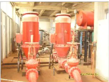 Figure 10 : Deux pompes centrifuges 