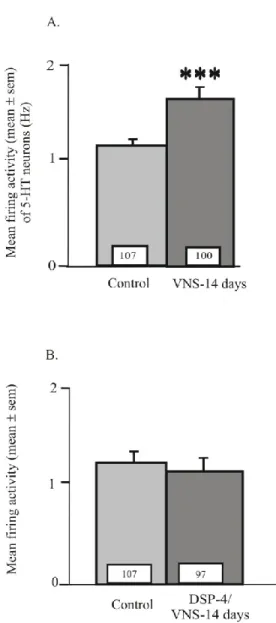 Figure 2. Histograms representing mean ± S.E.M. spontaneous firing rate of DRN 5-HT 