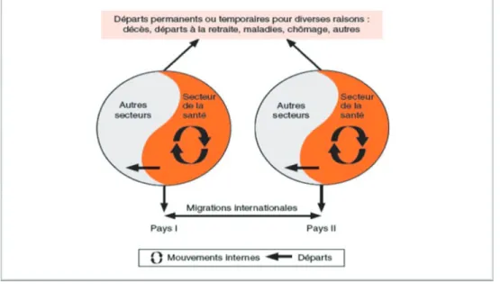 Figure 3 : Cadre analytique des mouvements internes et départs des personnels de santé